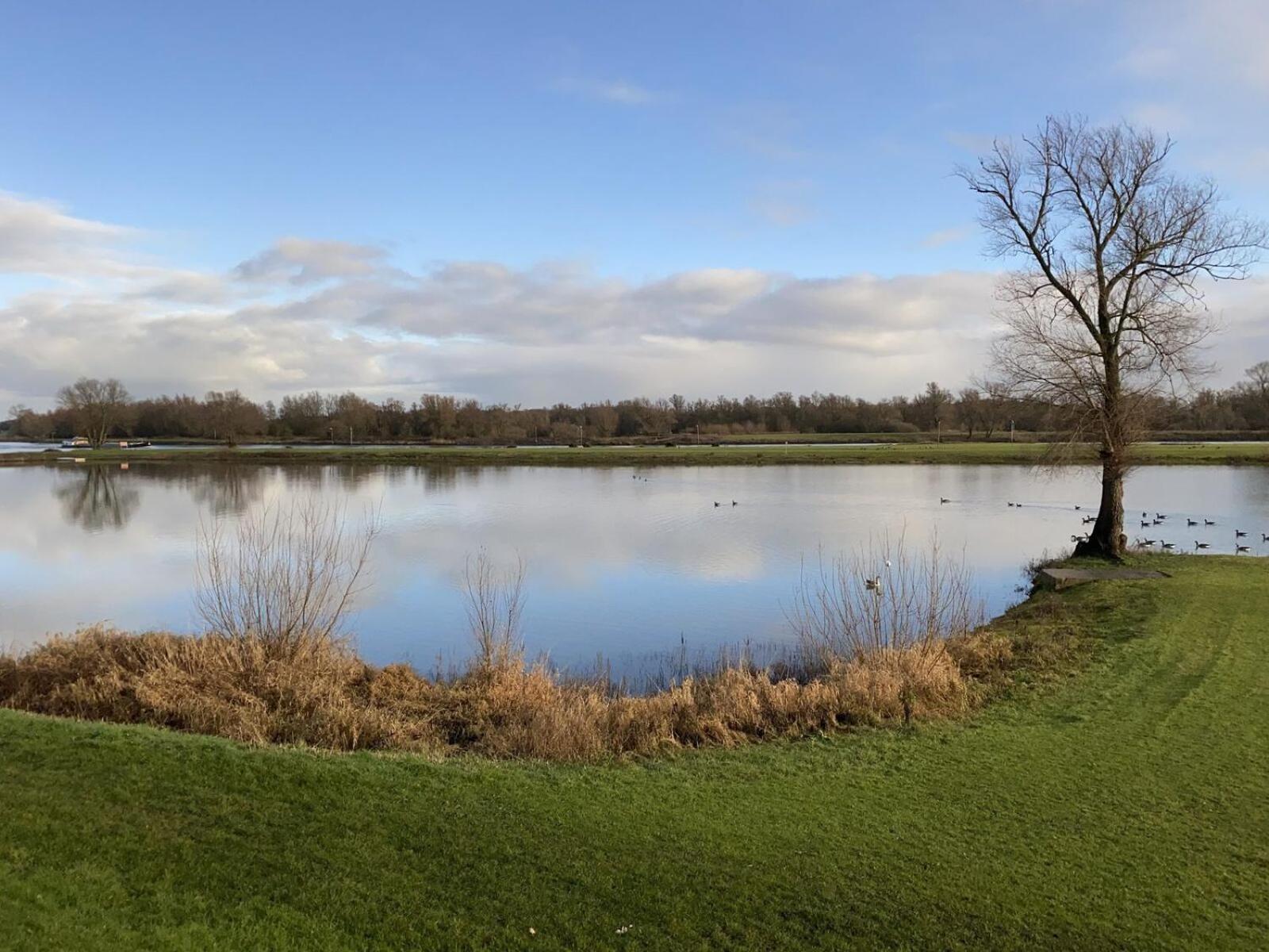 Recreatiepark En Jachthaven De Scherpenhof Terwolde Rum bild